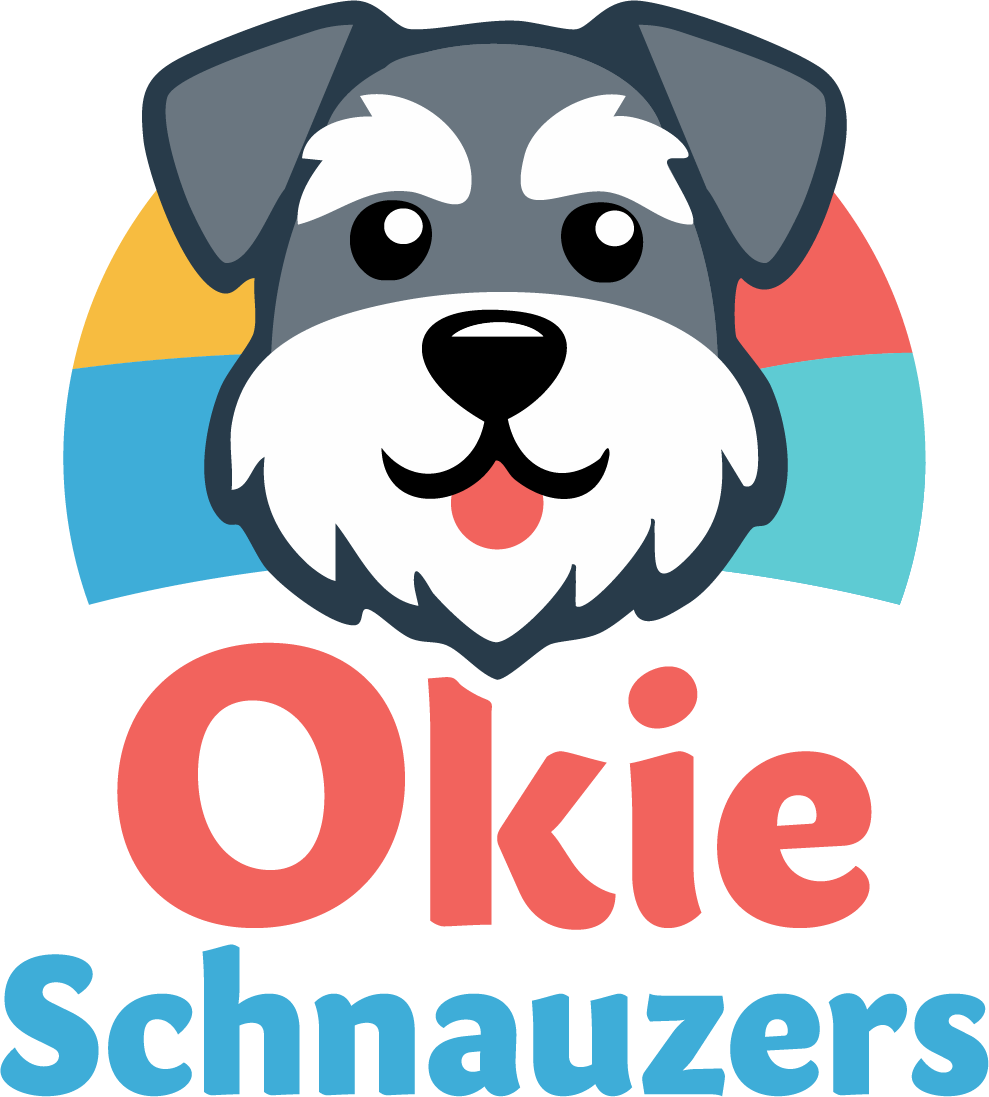 Okie Schnauzers